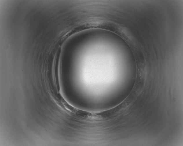 X0000082160455200701191246