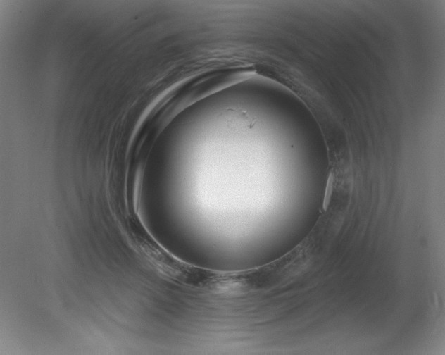 X0000082160456200701191246
