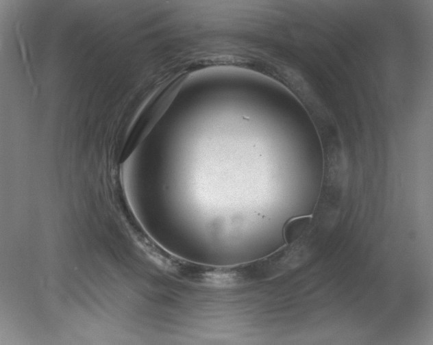 X0000082160457200701191246