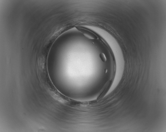 X0000082160458200701191246