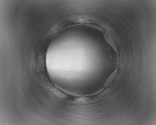 X0000082160461200701191246