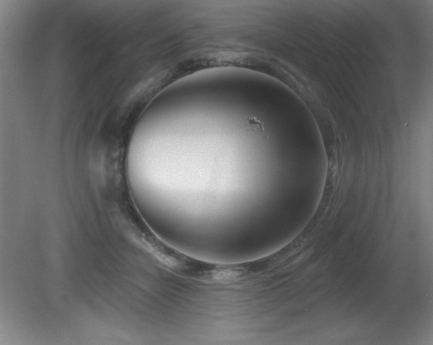 X0000082160462200701191246