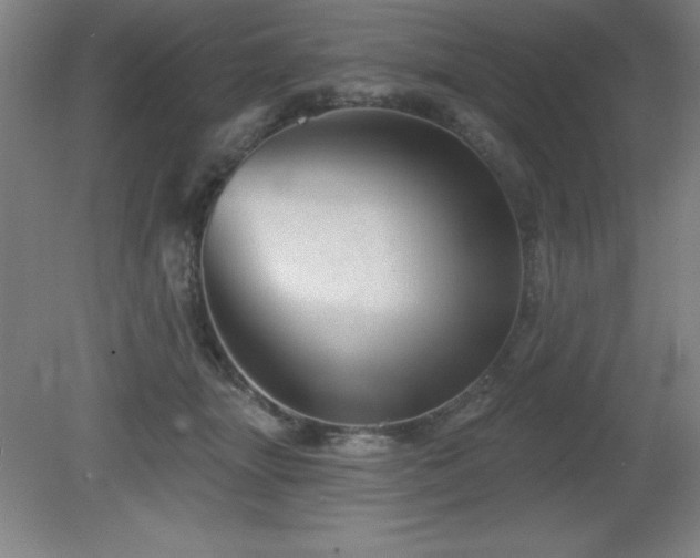 X0000082160463200701191246