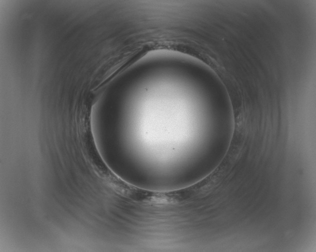 X0000082160464200701191246