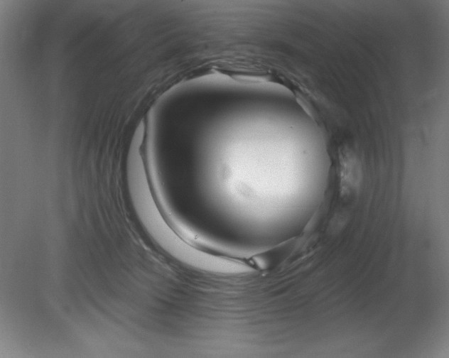 X0000082160466200701191246