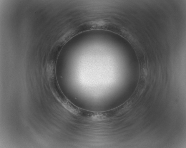 X0000082160468200701191246