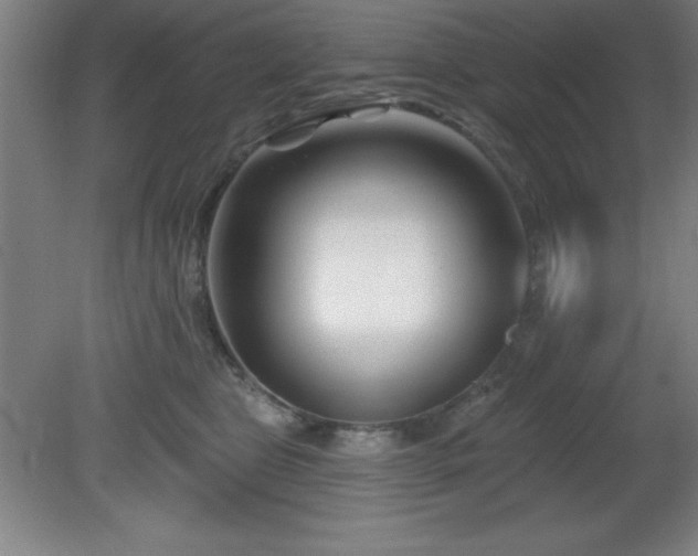 X0000082160469200701191246