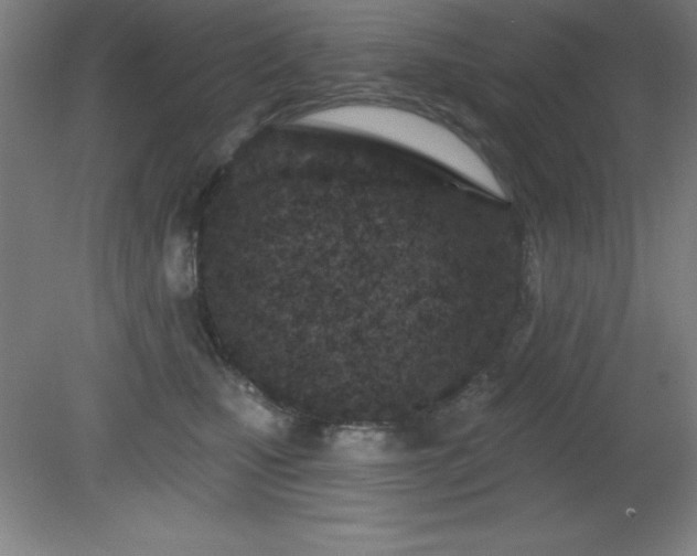 X0000082160471200701191246
