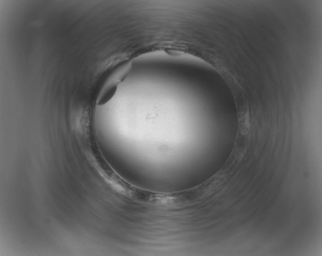 X0000082160472200701191246