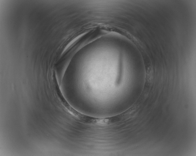 X0000082160474200701191246