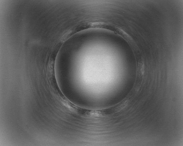 X0000082160475200701191246