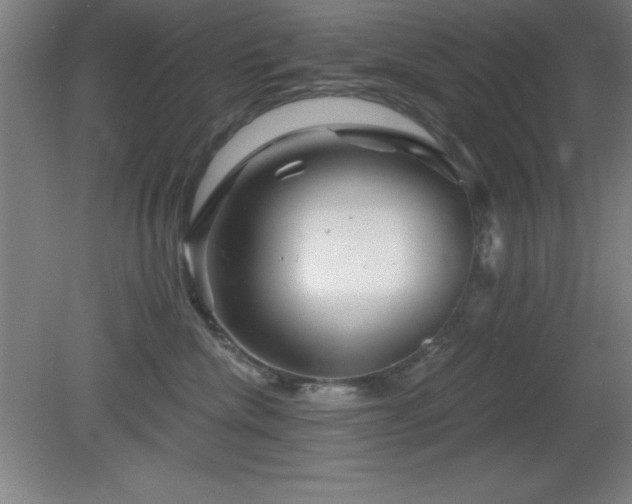 X0000082160476200701191246