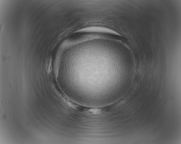 X0000082160478200701191246