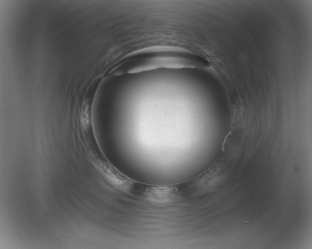 X0000082160479200701191246