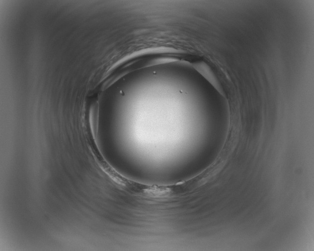 X0000082160480200701191246