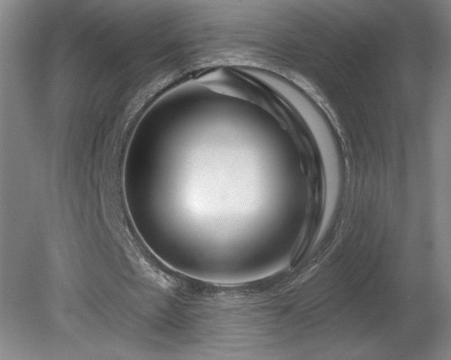 X0000082160481200701191245