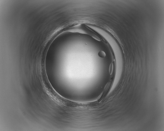 X0000082160482200701191245