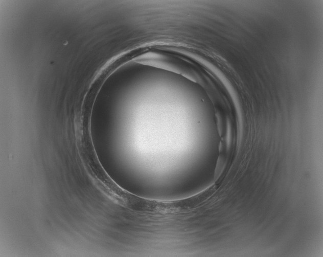 X0000082160484200701191245