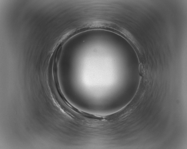 X0000082160485200701191245