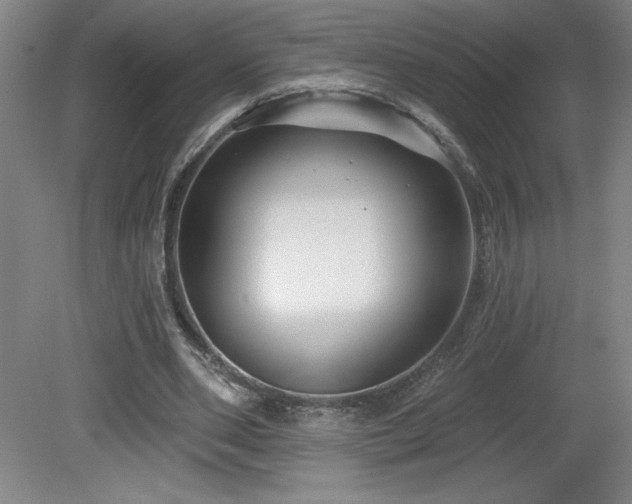 X0000082160486200701191245