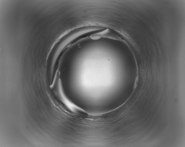 X0000082160488200701191245