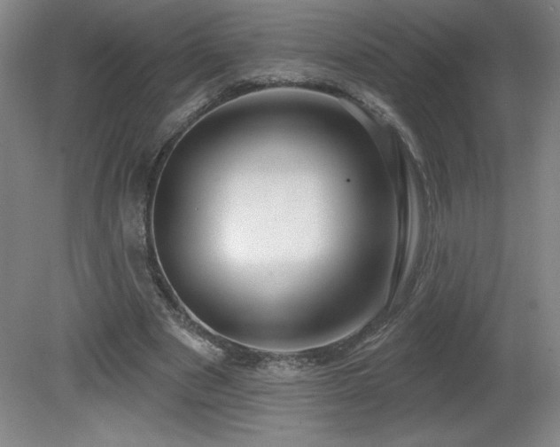 X0000082160489200701191245