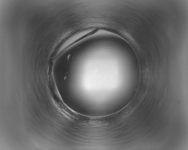X0000082160490200701191245