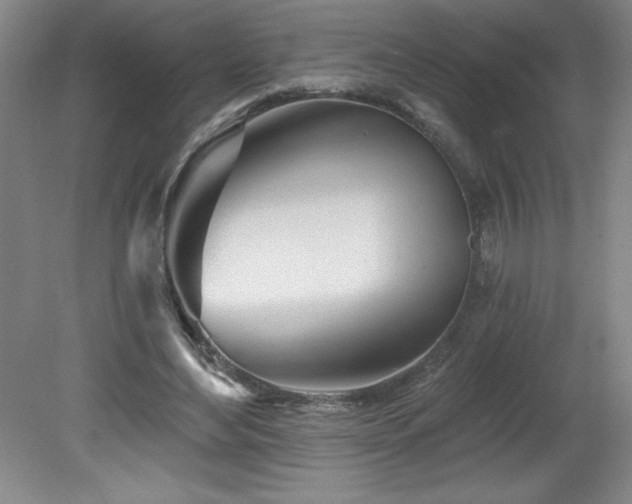 X0000082160492200701191245