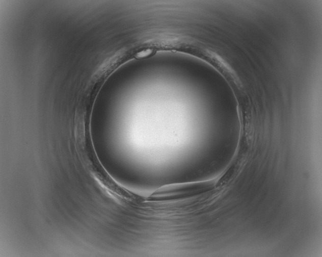 X0000082160493200701191245