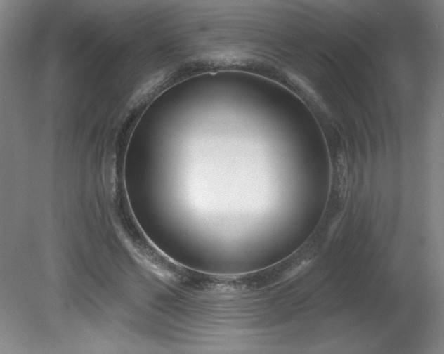 X0000082160494200701191245