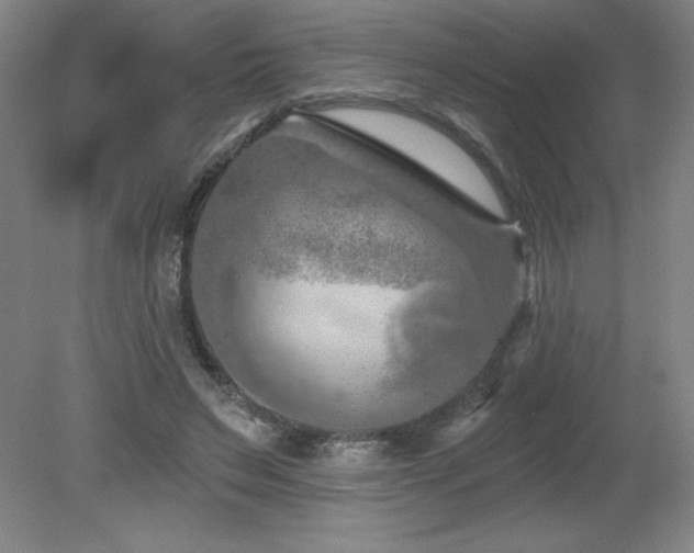 X0000082160495200701191245