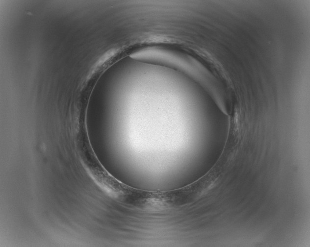 X0000082160496200701191245