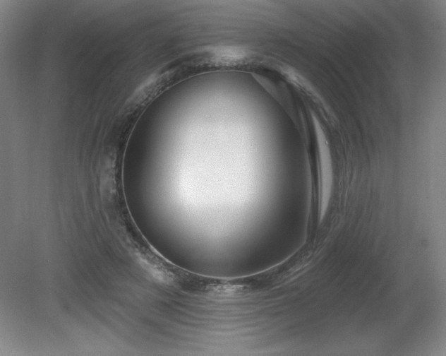 X0000082160497200701191245