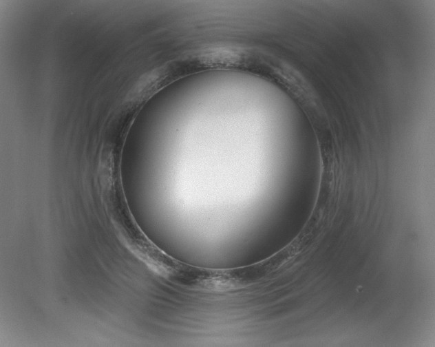 X0000082160498200701191245