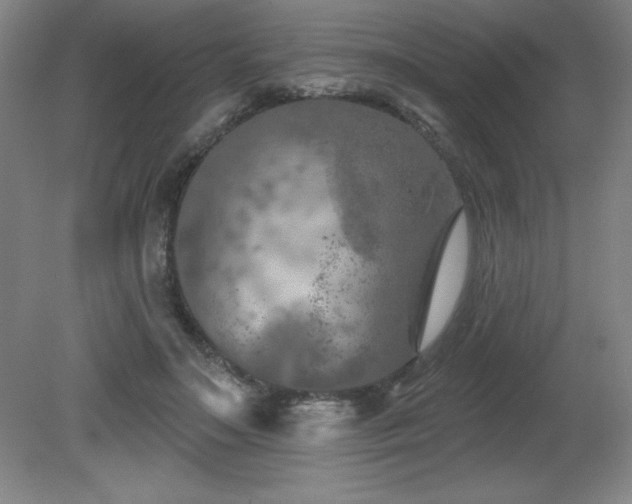 X0000082160499200701191245