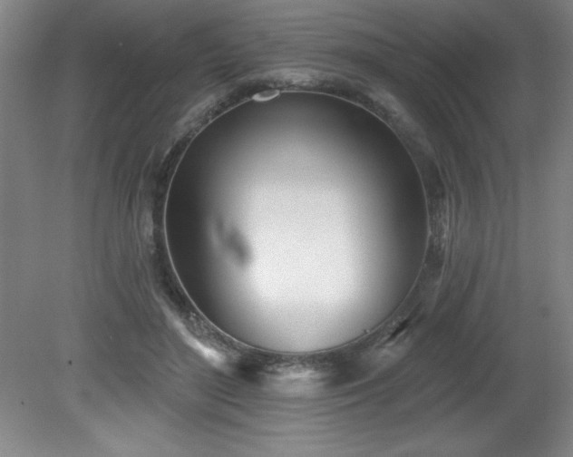 X0000082160500200701191245