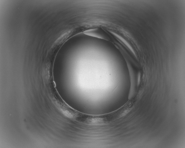 X0000082160501200701191245
