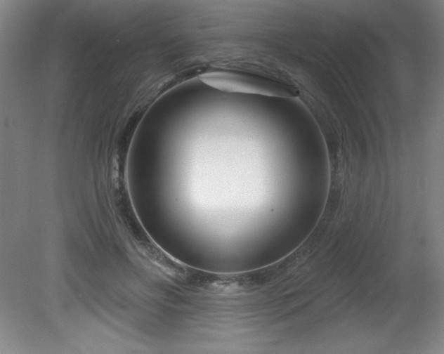 X0000082160502200701191245
