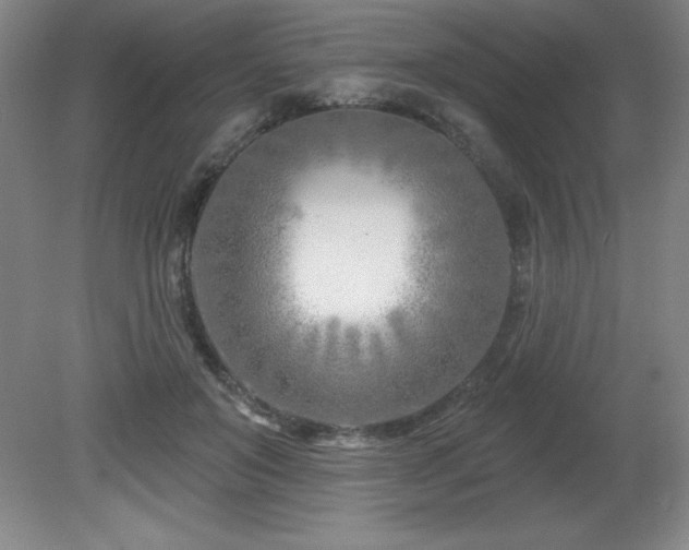 X0000082160503200701191245