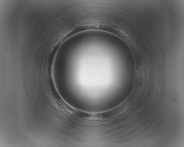X0000082160504200701191245
