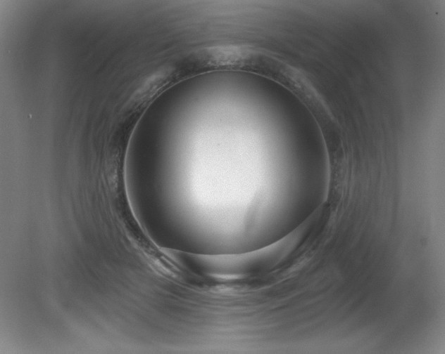 X0000082160505200701191245