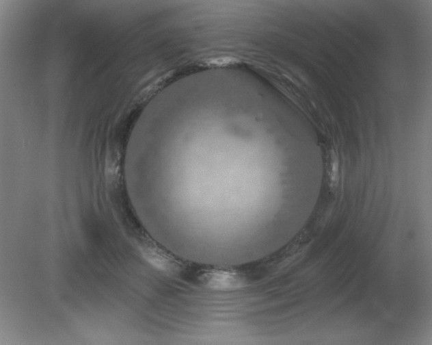 X0000082160507200701191245
