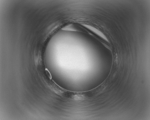 X0000082160508200701191245