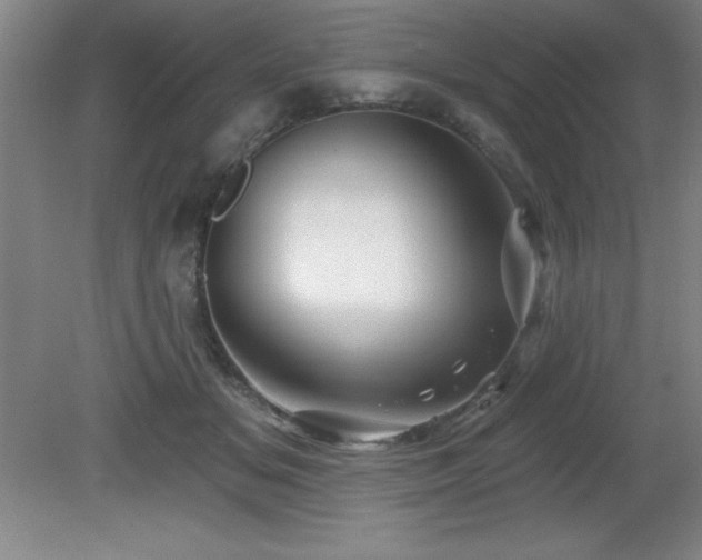 X0000082160509200701191245
