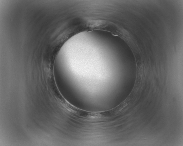 X0000082160510200701191245