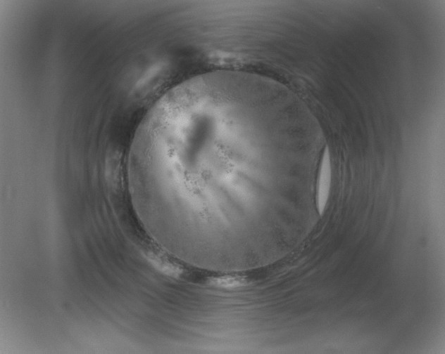 X0000082160511200701191245