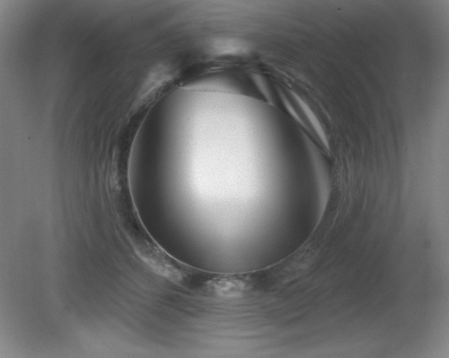 X0000082160512200701191245