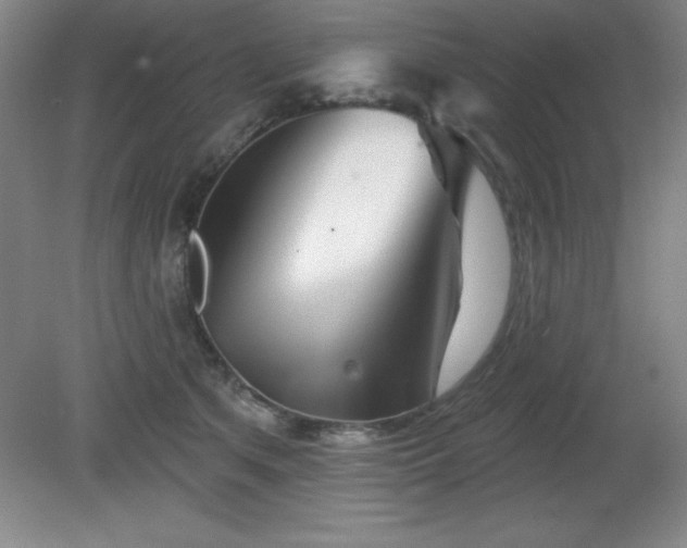 X0000082160513200701191245