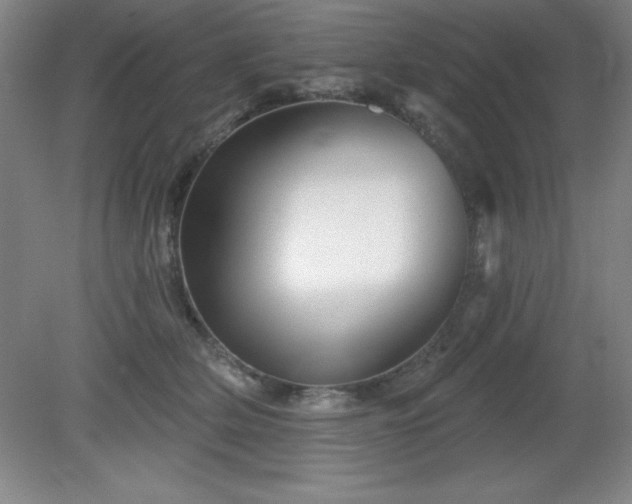 X0000082160514200701191245