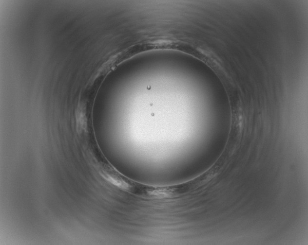 X0000082160516200701191245